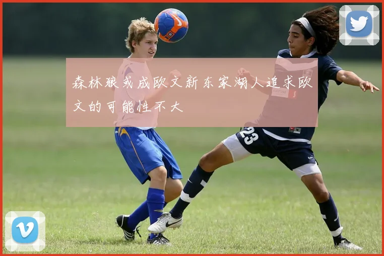 森林狼或成欧文新东家湖人追求欧文的可能性不大